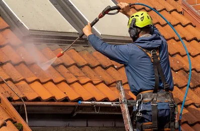 Démoussage et hydrofuge de toiture à Moumour